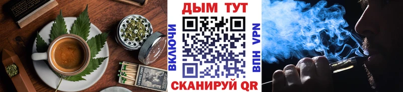 kraken сайт  Емва  Canna-Cookies марихуана 