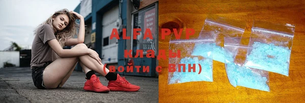 Альфа ПВП Горняк