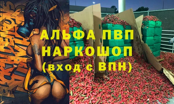 Альфа ПВП Горняк
