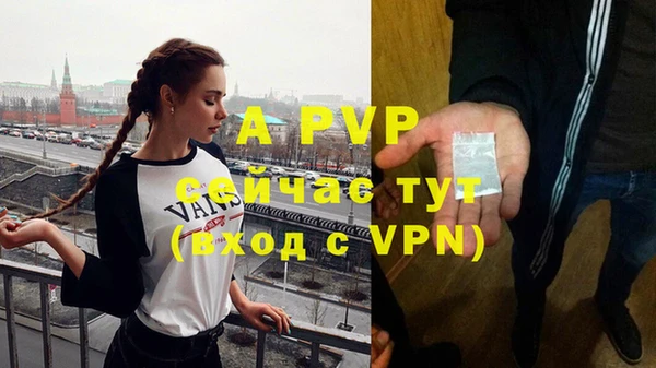 сатива Вяземский