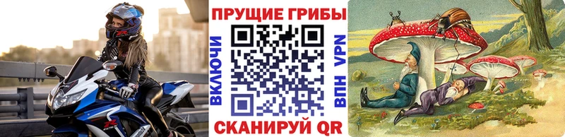 МЕГА онион Емва Псилоцибиновые грибы Psilocybine cubensis